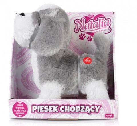 Piesek chodzący Natalia