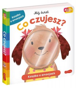 Książeczka Co czujesz? Akademia Mądrego Dziecka