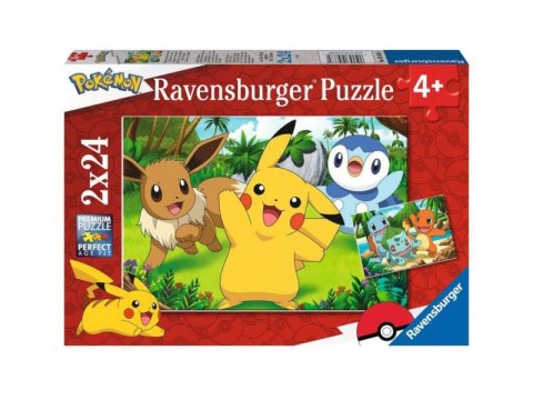 Puzzle 2x24 elementy Pokemon