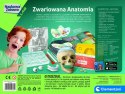 Zestaw edukacyjny Anatomia